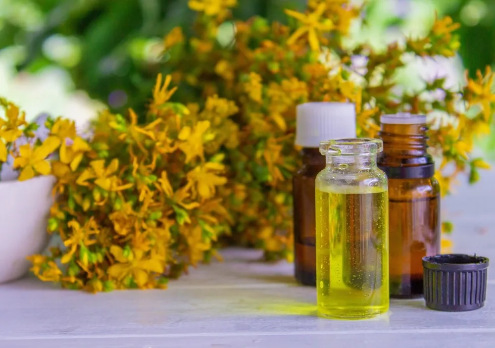 Thanks to its antibacterial nature, Berberis Aquifolium helps keep your skin clear by preventing new pimples. When used regularly, it can reduce excess oil, unclog pores, and protect against bacteria that cause acne. This means you not only get clearer skin but also reduce the chances of developing future pigmentation from pimples.