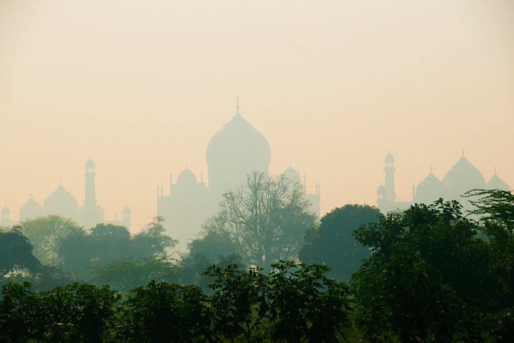 Environmental Factors: Pollution and Fog