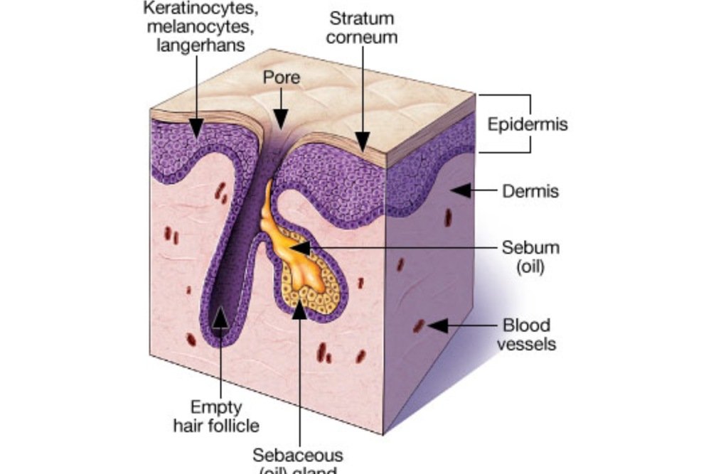 Ready for Smooth, Flawless Skin?​